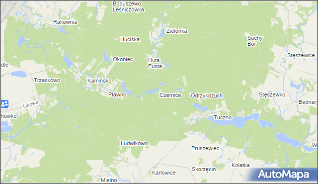 mapa Czernice gmina Murowana Goślina, Czernice gmina Murowana Goślina na mapie Targeo