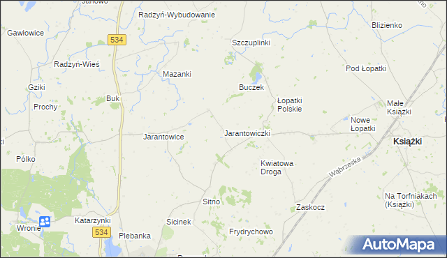 mapa Jarantowiczki gmina Ryńsk, Jarantowiczki gmina Ryńsk na mapie Targeo