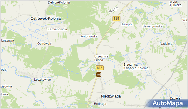 mapa Brzeźnica Leśna, Brzeźnica Leśna na mapie Targeo