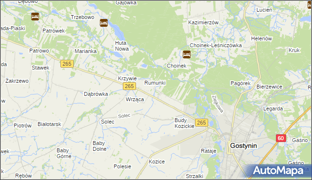 mapa Nagodów gmina Gostynin, Nagodów gmina Gostynin na mapie Targeo
