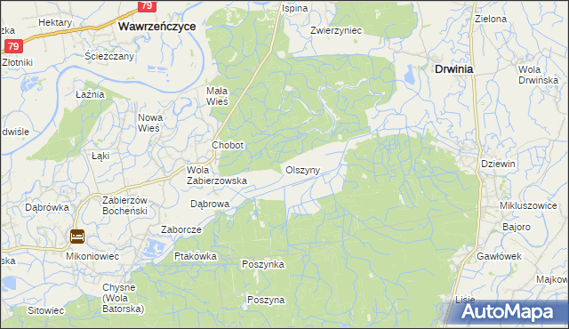 mapa Olszyny gmina Drwinia, Olszyny gmina Drwinia na mapie Targeo