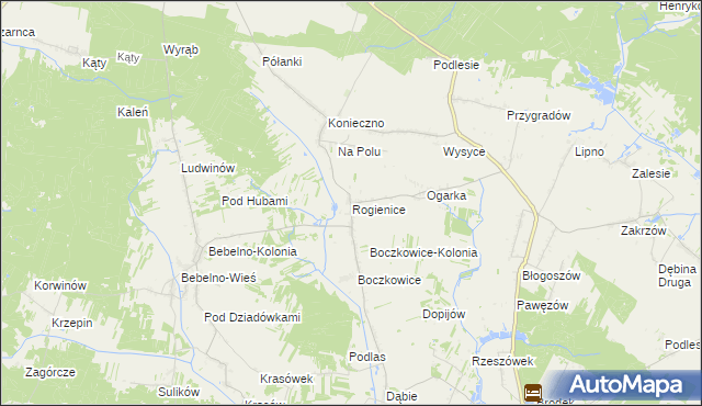 mapa Rogienice gmina Włoszczowa, Rogienice gmina Włoszczowa na mapie Targeo