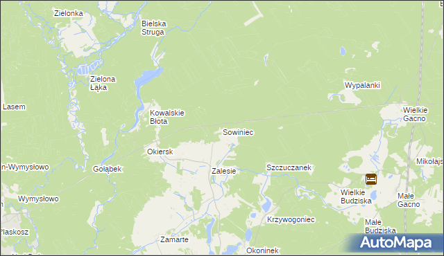 mapa Sowiniec gmina Cekcyn, Sowiniec gmina Cekcyn na mapie Targeo