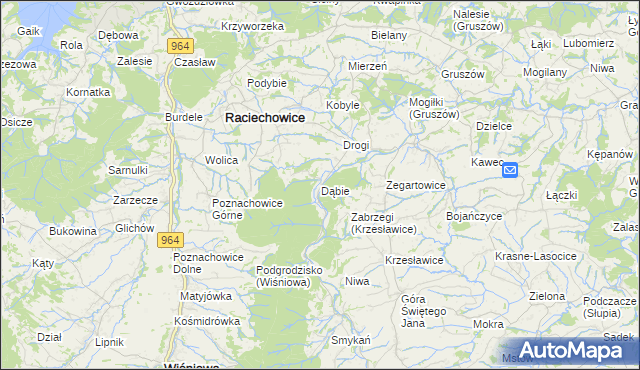 mapa Dąbie gmina Raciechowice, Dąbie gmina Raciechowice na mapie Targeo