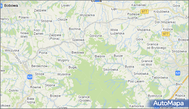 mapa Bieśnik gmina Łużna, Bieśnik gmina Łużna na mapie Targeo