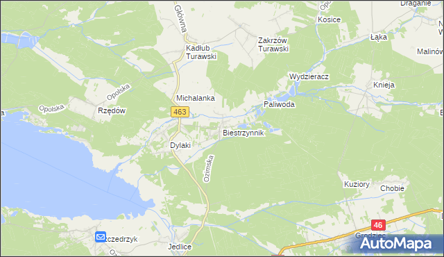 mapa Biestrzynnik, Biestrzynnik na mapie Targeo
