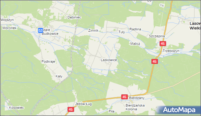 mapa Laskowice gmina Lasowice Wielkie, Laskowice gmina Lasowice Wielkie na mapie Targeo