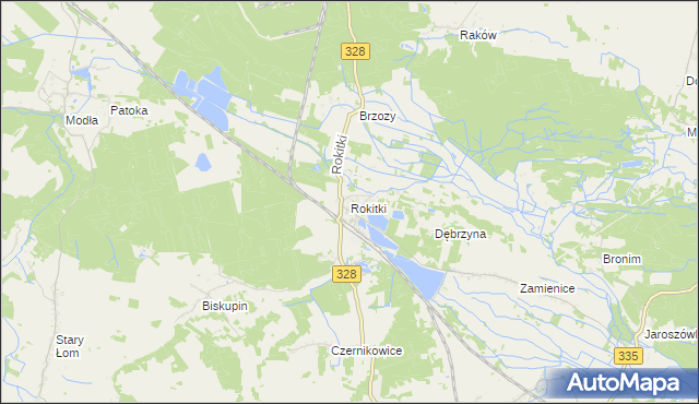 mapa Rokitki gmina Chojnów, Rokitki gmina Chojnów na mapie Targeo