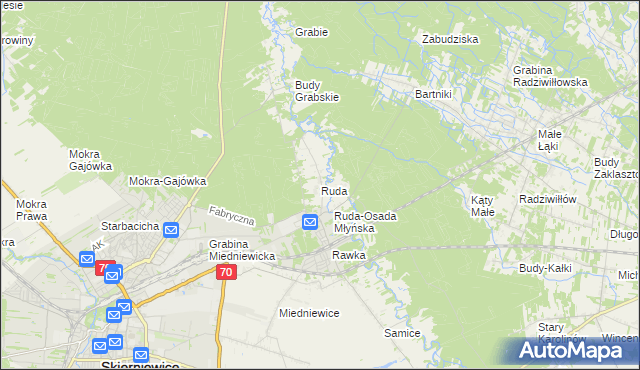 mapa Ruda gmina Skierniewice, Ruda gmina Skierniewice na mapie Targeo