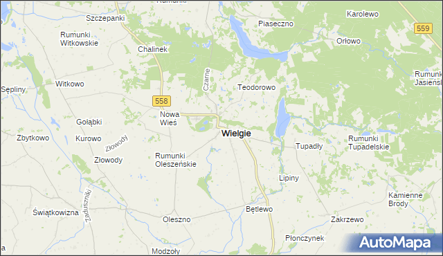 mapa Wielgie powiat lipnowski, Wielgie powiat lipnowski na mapie Targeo