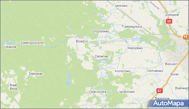 mapa Żabieniec gmina Lipno, Żabieniec gmina Lipno na mapie Targeo