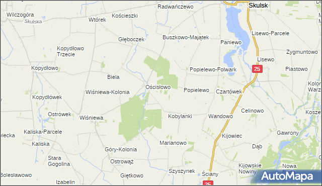 mapa Zalesie gmina Skulsk, Zalesie gmina Skulsk na mapie Targeo