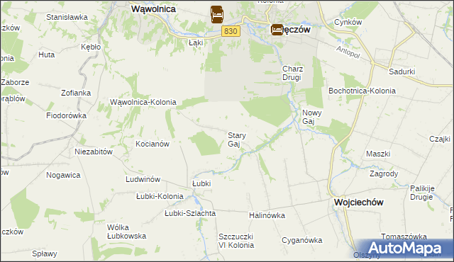 mapa Stary Gaj gmina Wojciechów, Stary Gaj gmina Wojciechów na mapie Targeo