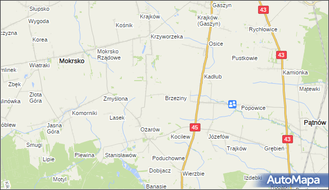 mapa Brzeziny gmina Mokrsko, Brzeziny gmina Mokrsko na mapie Targeo