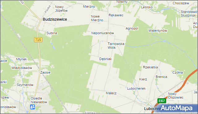mapa Dębniak gmina Lubochnia, Dębniak gmina Lubochnia na mapie Targeo