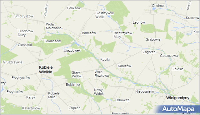 mapa Kubiki gmina Wielgomłyny, Kubiki gmina Wielgomłyny na mapie Targeo