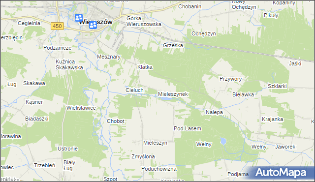 mapa Mieleszynek, Mieleszynek na mapie Targeo