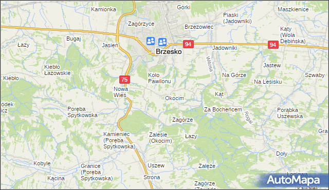 mapa Okocim, Okocim na mapie Targeo