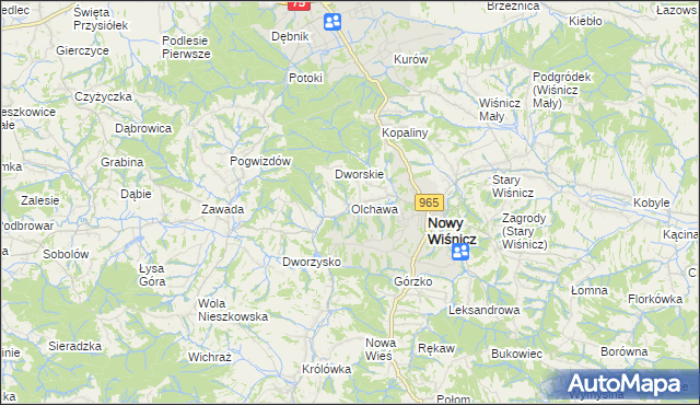 mapa Olchawa, Olchawa na mapie Targeo