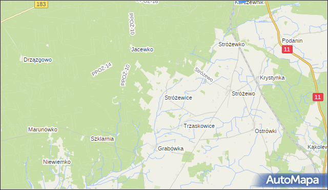 mapa Stróżewice, Stróżewice na mapie Targeo