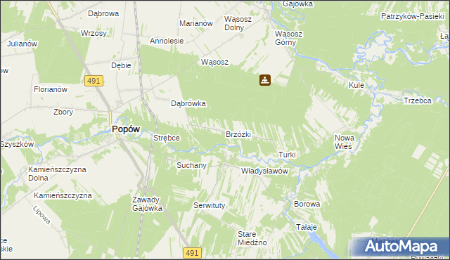 mapa Brzózki gmina Popów, Brzózki gmina Popów na mapie Targeo