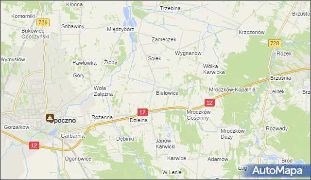 mapa Bielowice gmina Opoczno, Bielowice gmina Opoczno na mapie Targeo