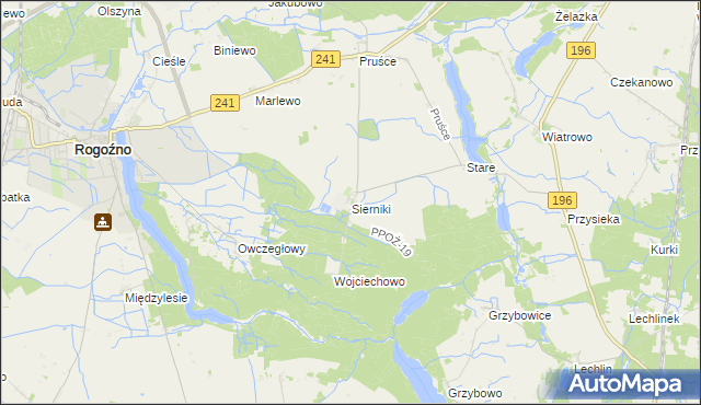 mapa Sierniki gmina Rogoźno, Sierniki gmina Rogoźno na mapie Targeo