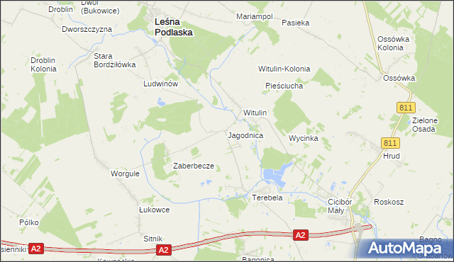 mapa Jagodnica gmina Leśna Podlaska, Jagodnica gmina Leśna Podlaska na mapie Targeo