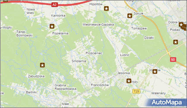 mapa Antoniew gmina Wiskitki, Antoniew gmina Wiskitki na mapie Targeo