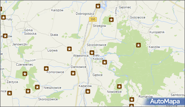 mapa Biały Kościół gmina Strzelin, Biały Kościół gmina Strzelin na mapie Targeo