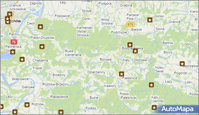 mapa Borowa gmina Zakliczyn, Borowa gmina Zakliczyn na mapie Targeo