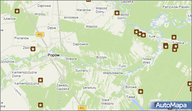 mapa Brzózki gmina Popów, Brzózki gmina Popów na mapie Targeo