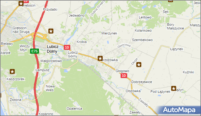 mapa Brzozówka gmina Obrowo, Brzozówka gmina Obrowo na mapie Targeo