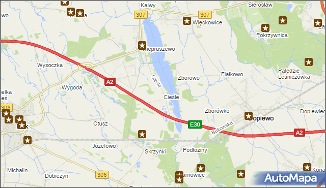 mapa Cieśle gmina Buk, Cieśle gmina Buk na mapie Targeo