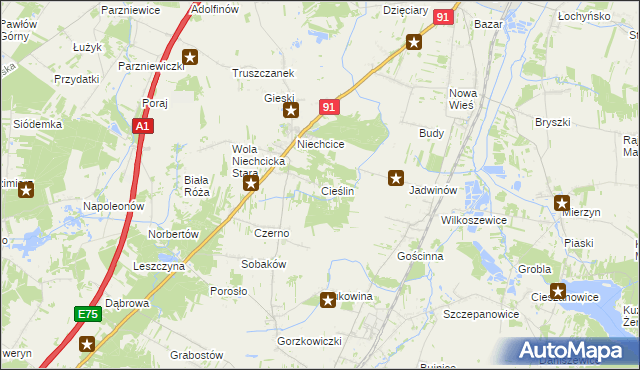 mapa Cieślin gmina Rozprza, Cieślin gmina Rozprza na mapie Targeo