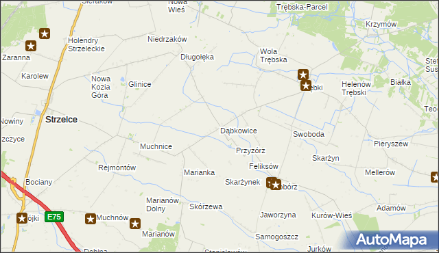 mapa Dąbkowice gmina Strzelce, Dąbkowice gmina Strzelce na mapie Targeo