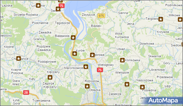 mapa Dąbrowa gmina Chełmiec, Dąbrowa gmina Chełmiec na mapie Targeo