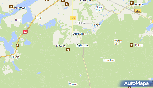 mapa Dębogóra gmina Dobiegniew, Dębogóra gmina Dobiegniew na mapie Targeo