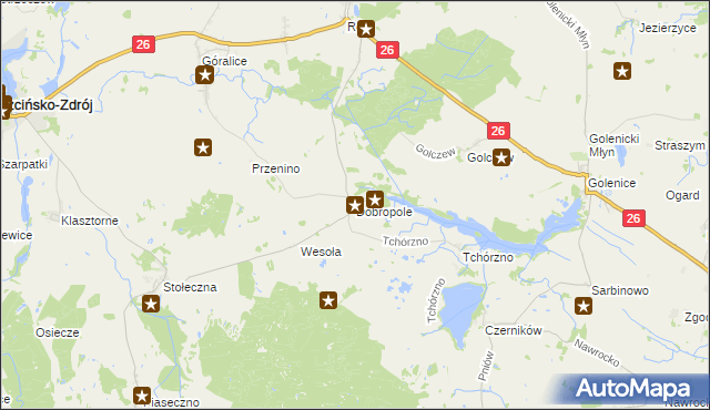 mapa Dobropole gmina Trzcińsko-Zdrój, Dobropole gmina Trzcińsko-Zdrój na mapie Targeo
