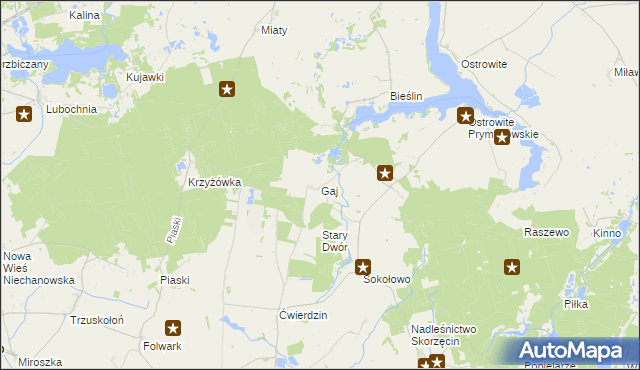 mapa Gaj gmina Witkowo, Gaj gmina Witkowo na mapie Targeo