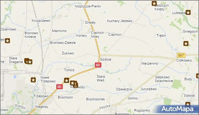 mapa Goślice, Goślice na mapie Targeo