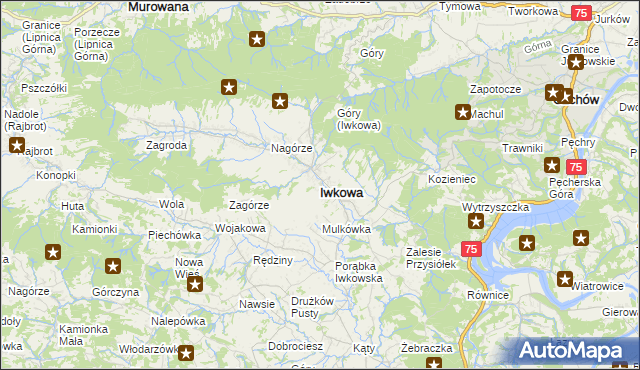 mapa Iwkowa, Iwkowa na mapie Targeo