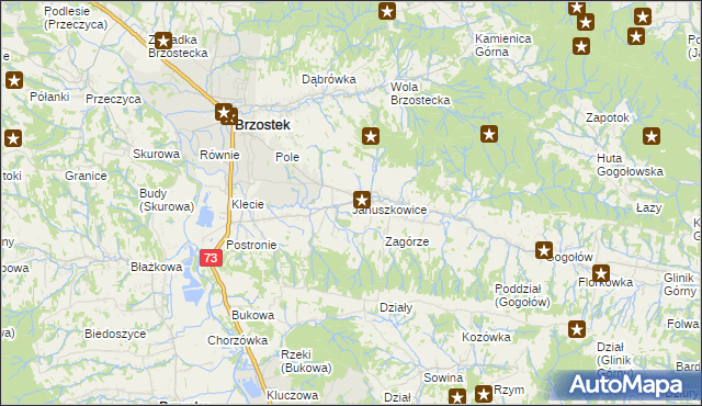mapa Januszkowice gmina Brzostek, Januszkowice gmina Brzostek na mapie Targeo