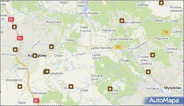 mapa Lgota Górna, Lgota Górna na mapie Targeo