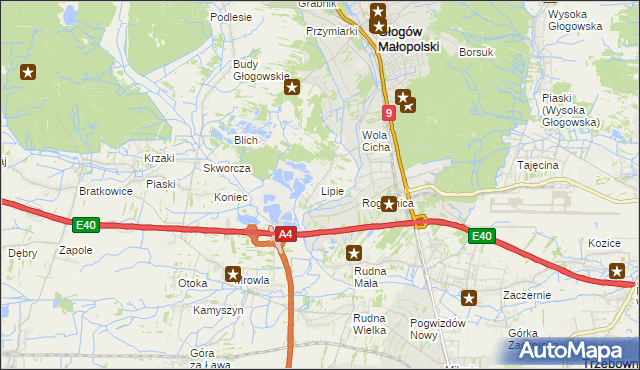 mapa Lipie gmina Głogów Małopolski, Lipie gmina Głogów Małopolski na mapie Targeo