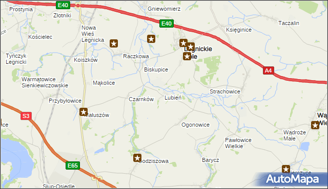 mapa Lubień gmina Legnickie Pole, Lubień gmina Legnickie Pole na mapie Targeo