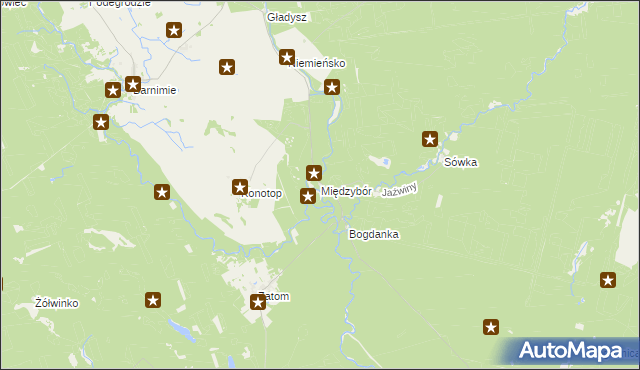 mapa Międzybór, Międzybór na mapie Targeo