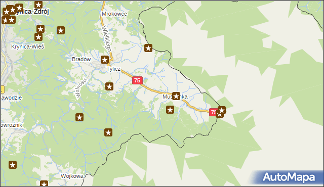 mapa Muszynka, Muszynka na mapie Targeo