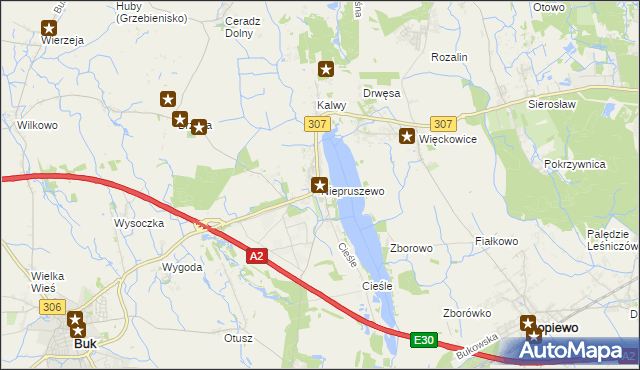 mapa Niepruszewo, Niepruszewo na mapie Targeo