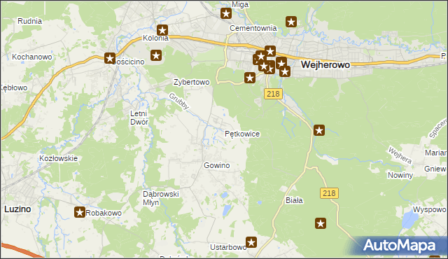 mapa Pętkowice gmina Wejherowo, Pętkowice gmina Wejherowo na mapie Targeo